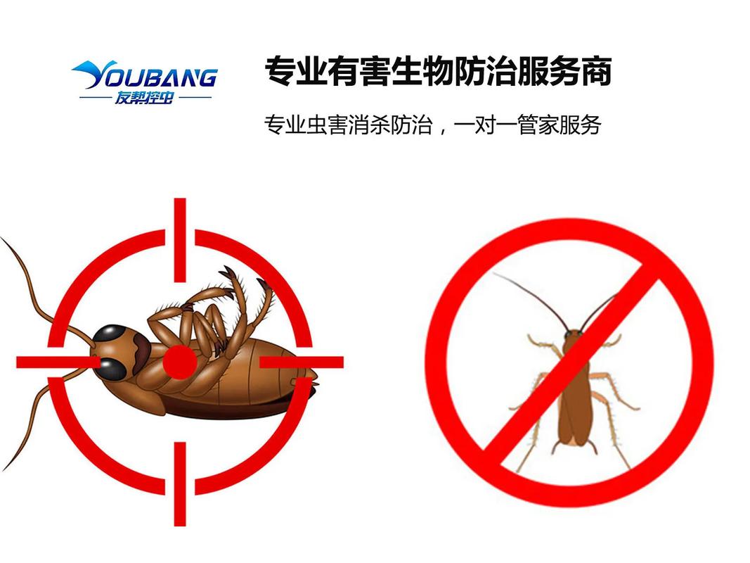 东阳友帮虫害消杀公司,专业白蚁防治公司,.东阳友帮虫害消杀公