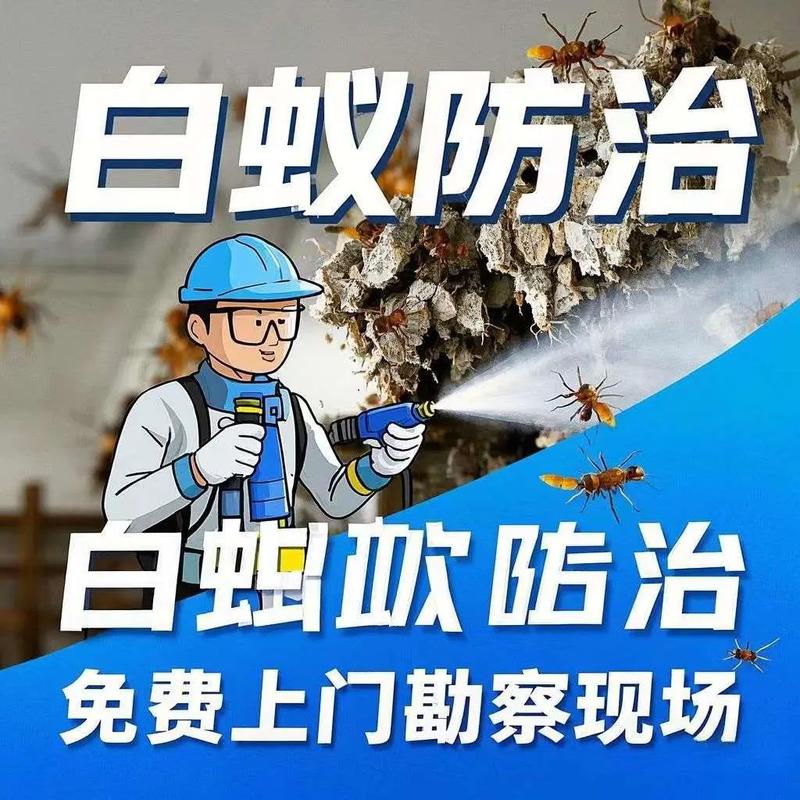 上饶广丰区白蚁防治全指南 危害、识别、治理与预防