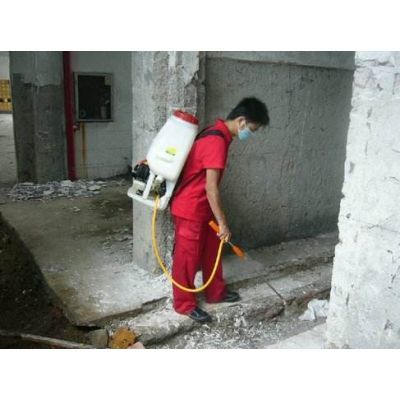 湖北白蚁防治全指南 武汉易泽生物防治与市场价格解析