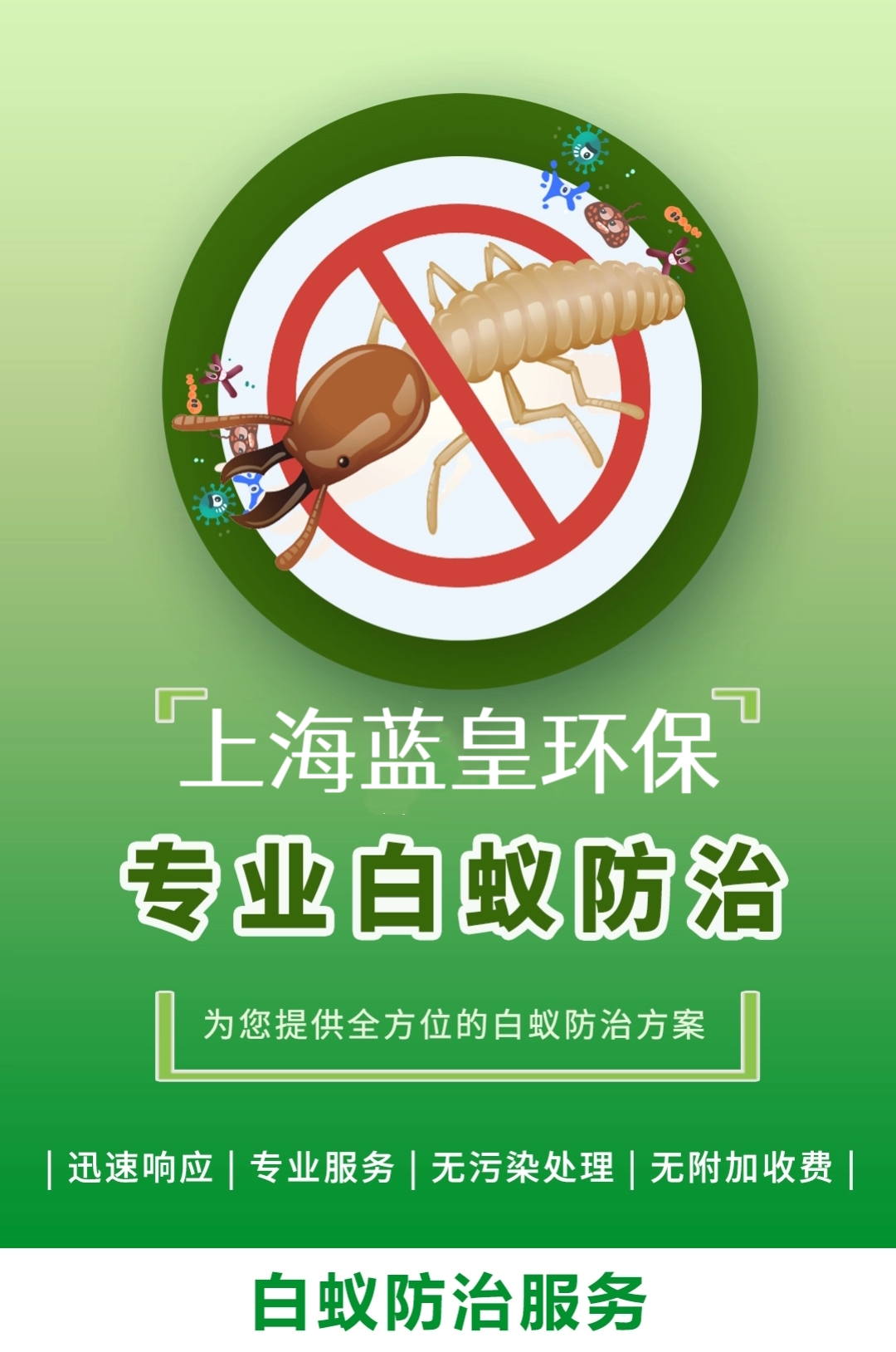 上海白蚁防治中心 专业守护您的家居安全与建筑健康
